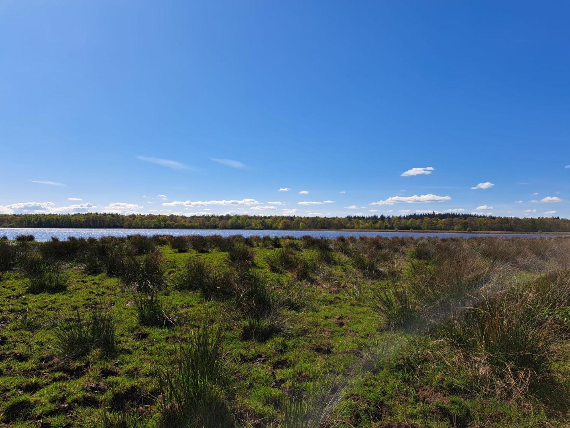 Natuurhuisje Meppen Bagian luar foto