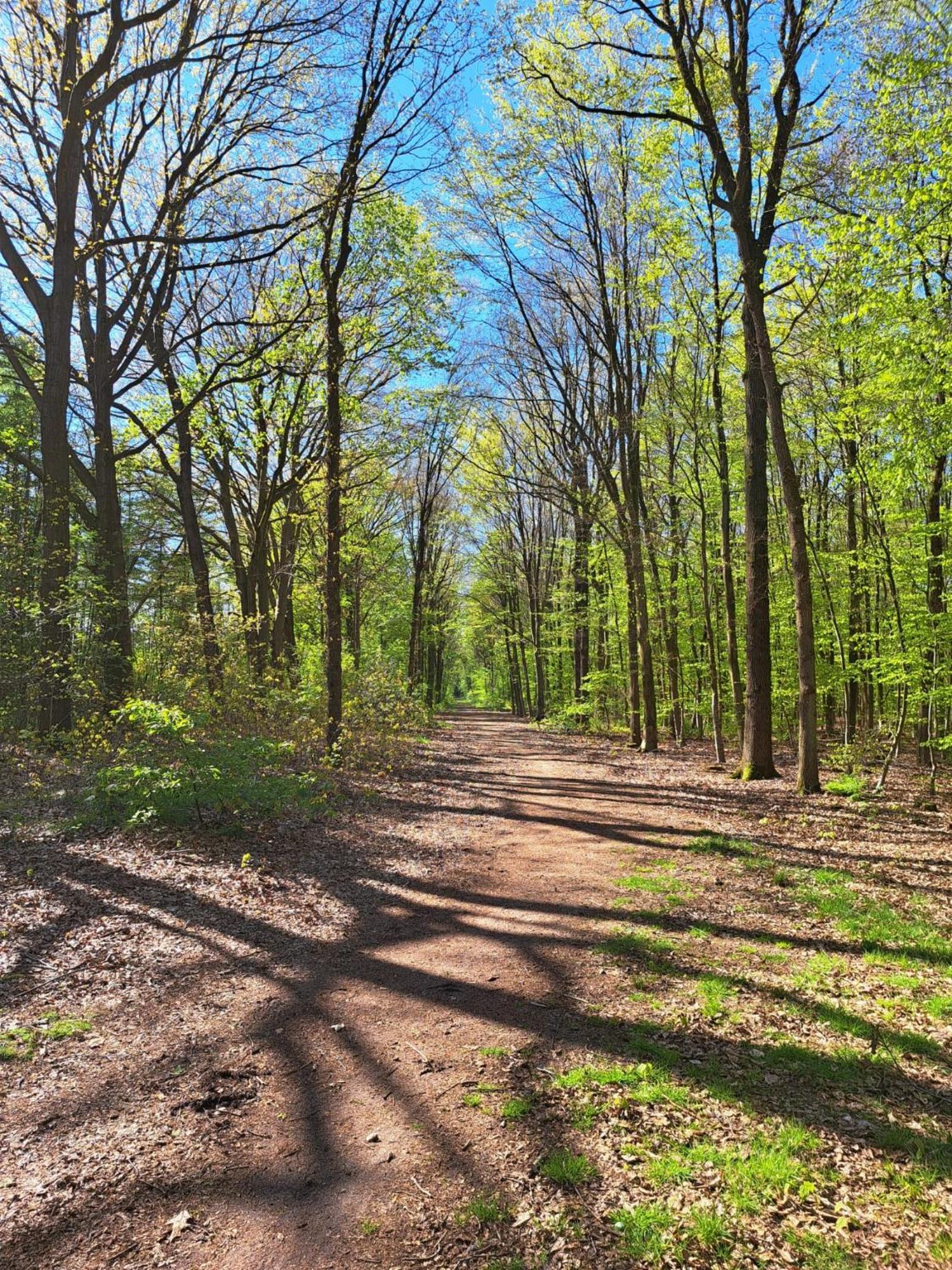 Natuurhuisje Meppen Bagian luar foto